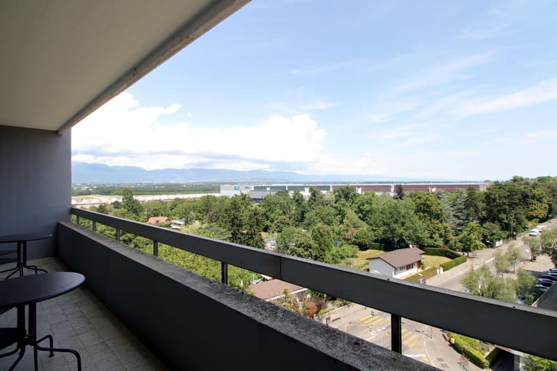 Coliving Spacieux au Cœur du Quartier International de Genève (22)
