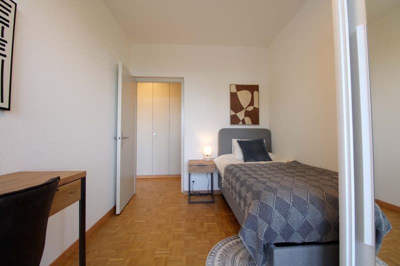 Coliving Spacieux au Cœur du Quartier International de Genève (4)