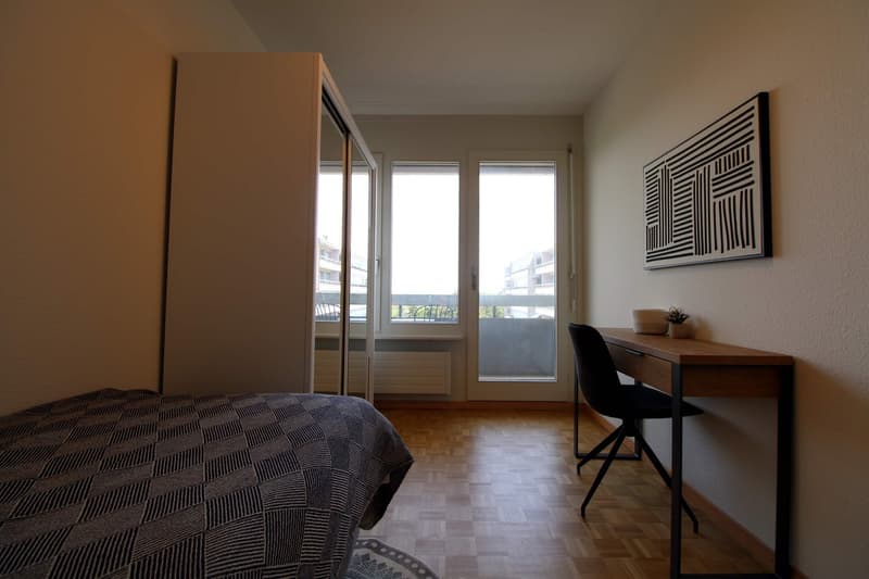 Coliving Spacieux au Cœur du Quartier International de Genève (7)