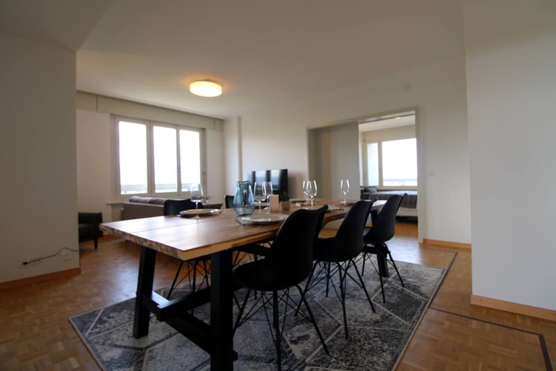 Coliving Spacieux au Cœur du Quartier International de Genève (14)