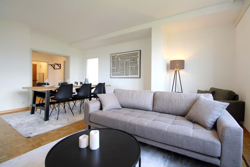 Coliving Spacieux au Cœur du Quartier International de Genève (15)