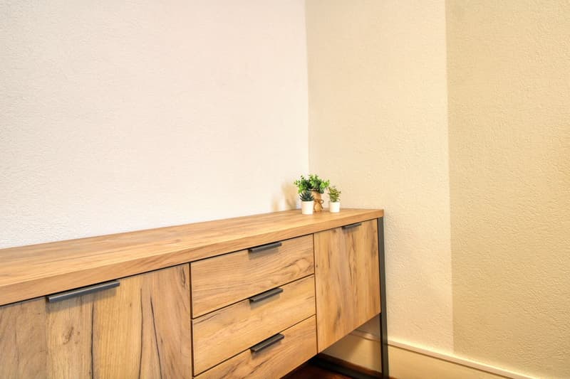 Vivez le coliving confortable au cœur de Lausanne (7)