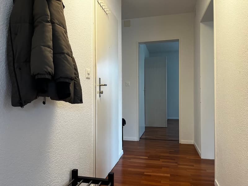 Gemütliches Einzelzimmer mit Balkon in einer Wohngemeinschaft – Brunngasse, Winterthur (24)