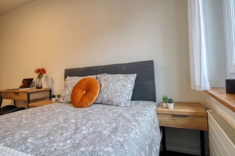 Komfortables Coliving im Zürcher Stadtteil Aussersihl (2)