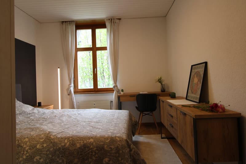 Zentral gelegene, ruhige Zimmer in der Nähe der Universitätsklinik und des Rheins (3)