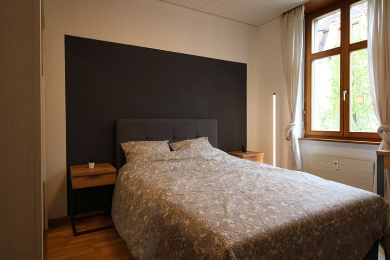Zentral gelegene, ruhige Zimmer in der Nähe der Universitätsklinik und des Rheins (6)