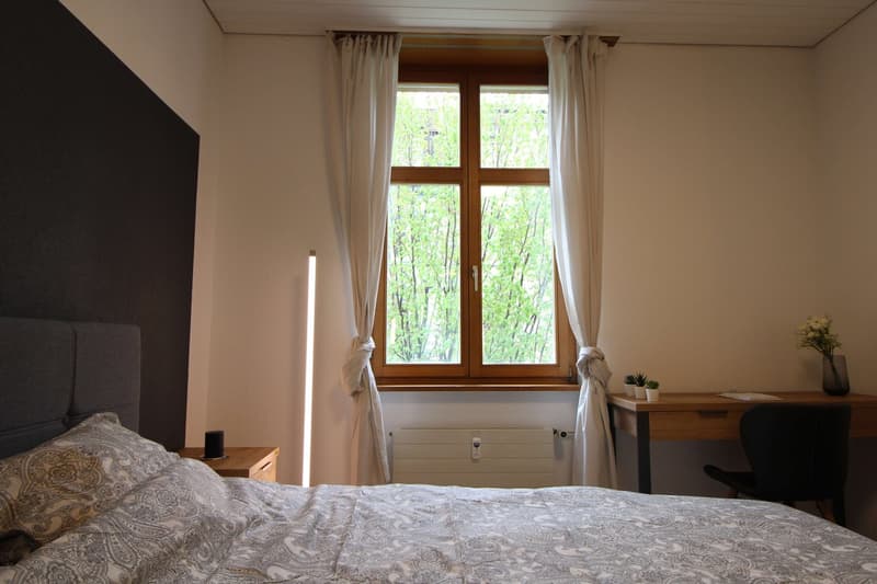 Zentral gelegene, ruhige Zimmer in der Nähe der Universitätsklinik und des Rheins (4)