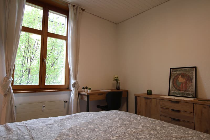 Zentral gelegene, ruhige Zimmer in der Nähe der Universitätsklinik und des Rheins (5)