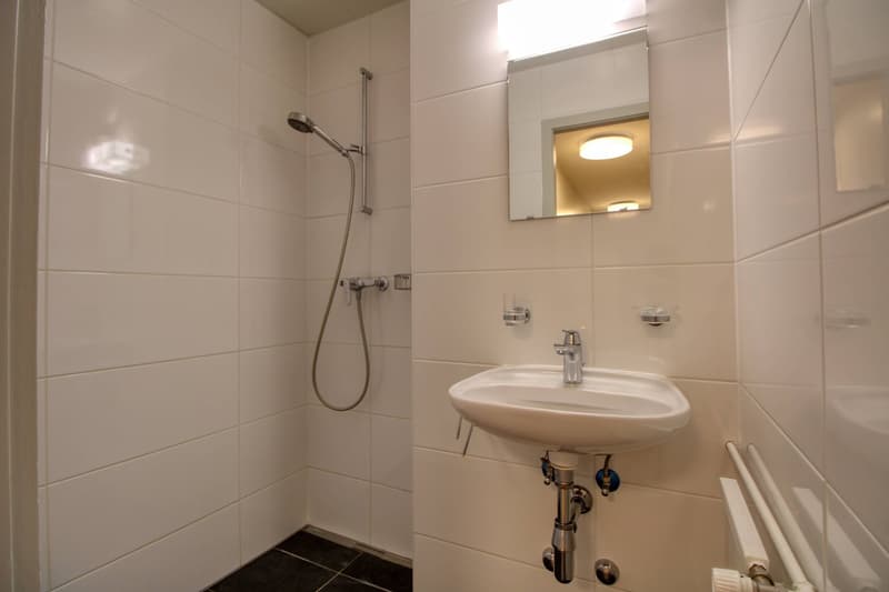 Coliving Spacieux et Confortable à Le Grand-Saconnex (17)