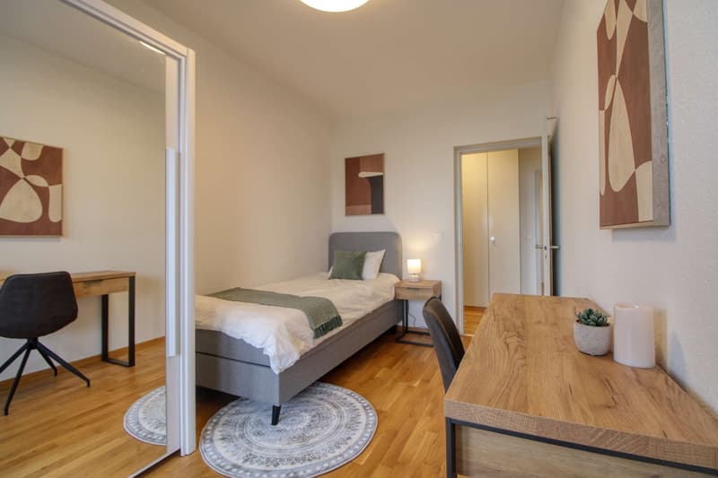 Coliving Spacieux et Confortable à Le Grand-Saconnex (3)
