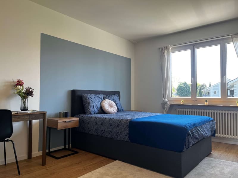 Helle, renovierte Wohnung ideal für junge Berufstätige (9)
