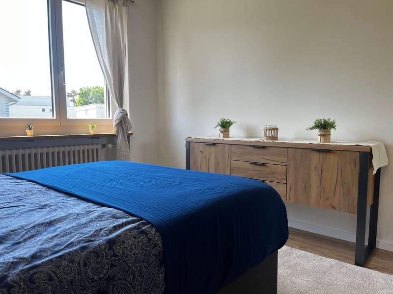 Helle, renovierte Wohnung ideal für junge Berufstätige (10)
