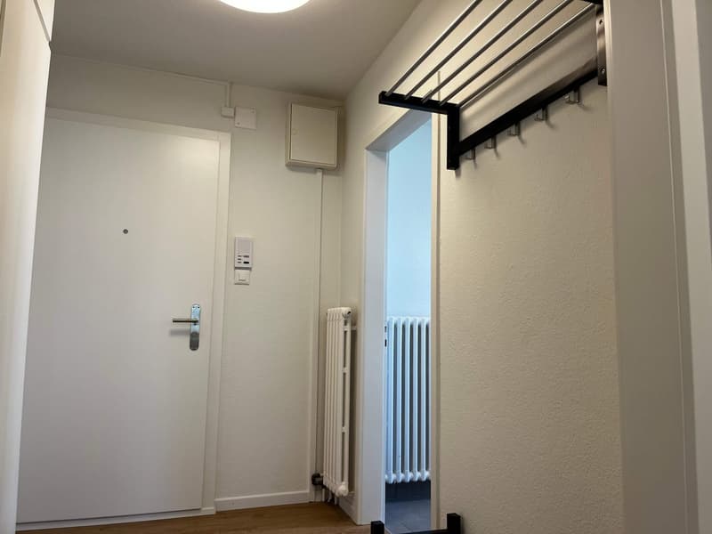 Helle, renovierte Wohnung ideal für junge Berufstätige (17)