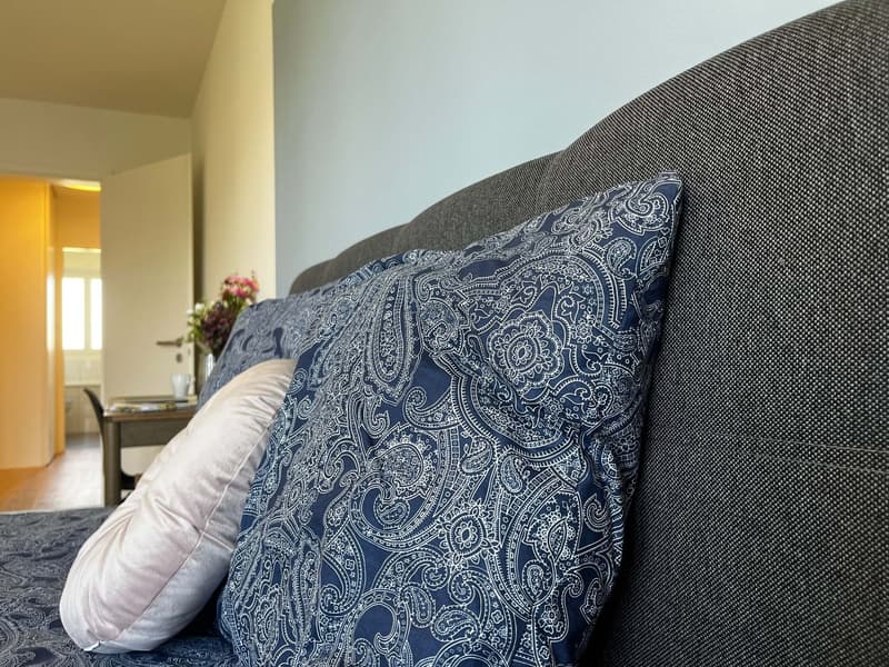 Helle, renovierte Wohnung ideal für junge Berufstätige (11)
