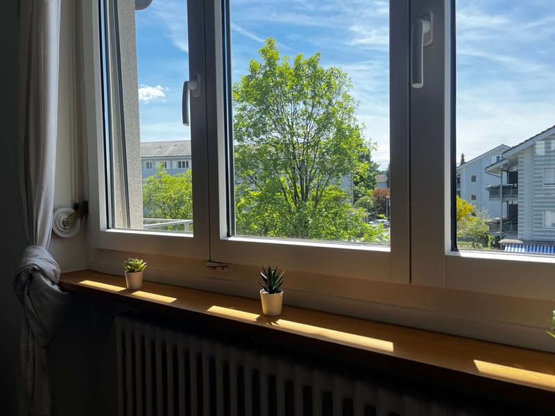 Helle, renovierte Wohnung ideal für junge Berufstätige (12)