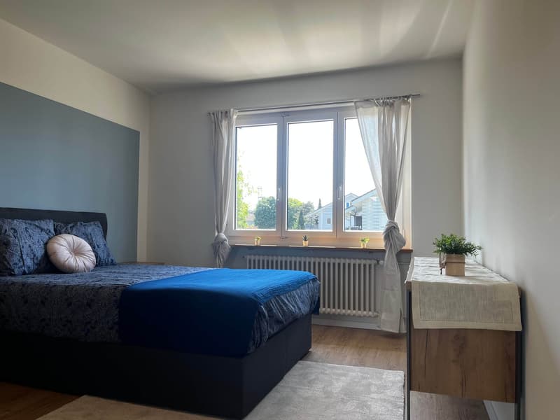 Helle, renovierte Wohnung ideal für junge Berufstätige (1)
