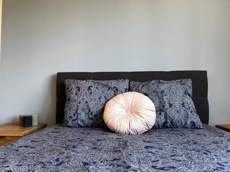 Helle, renovierte Wohnung ideal für junge Berufstätige (5)