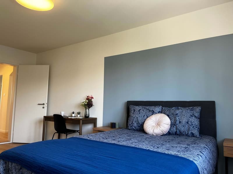 Helle, renovierte Wohnung ideal für junge Berufstätige (2)