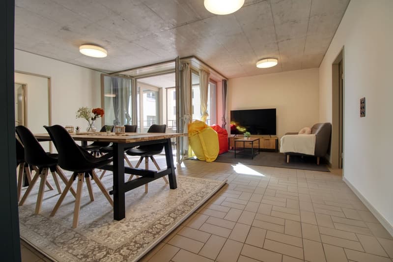 Modernes Coliving im lebhaften Schlieren (18)