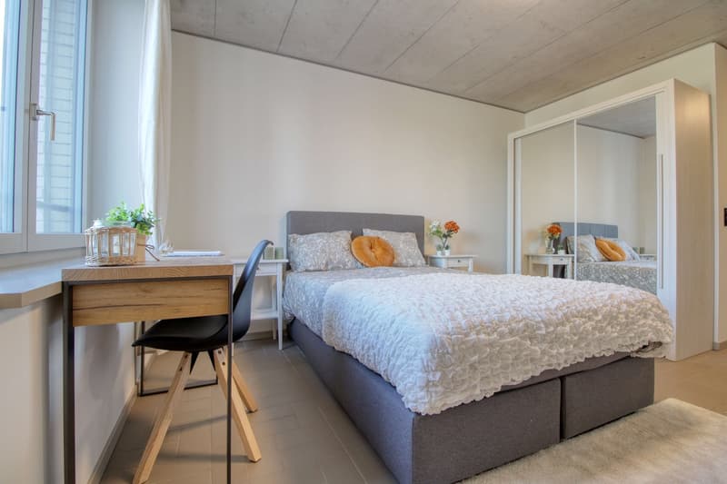 Modernes Coliving im lebhaften Schlieren (5)