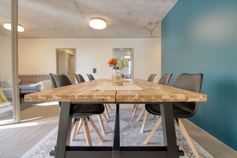Modernes Coliving im lebhaften Schlieren (10)