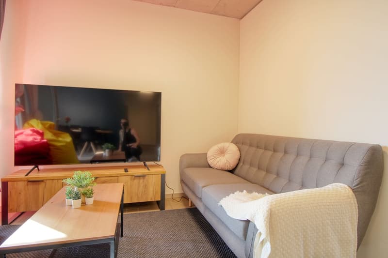 Modernes Coliving im lebhaften Schlieren (13)