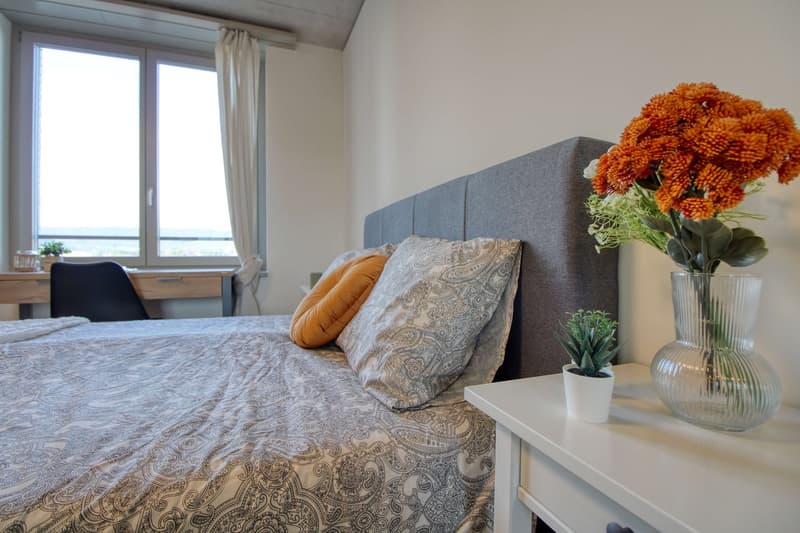 Modernes Coliving im lebhaften Schlieren (7)