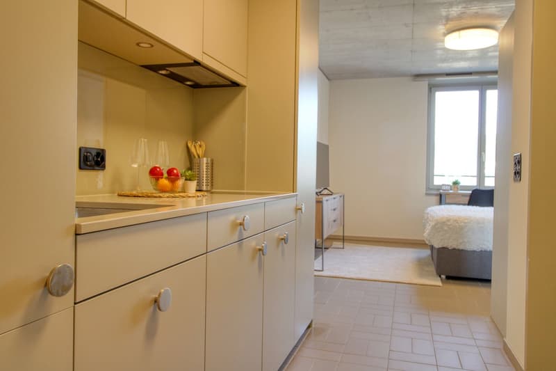 Modernes Coliving im lebhaften Schlieren (6)