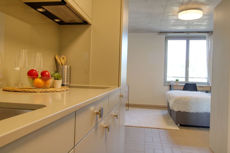 Modernes Coliving im lebhaften Schlieren (2)