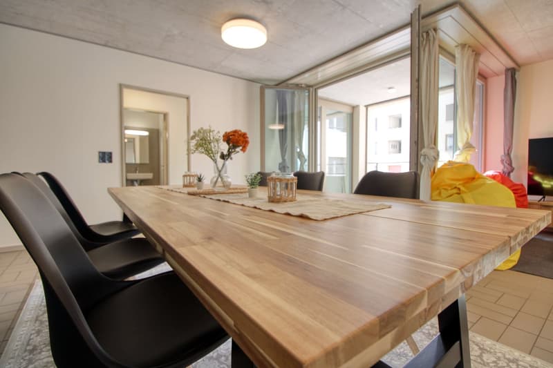 Modernes Coliving im lebhaften Schlieren (22)