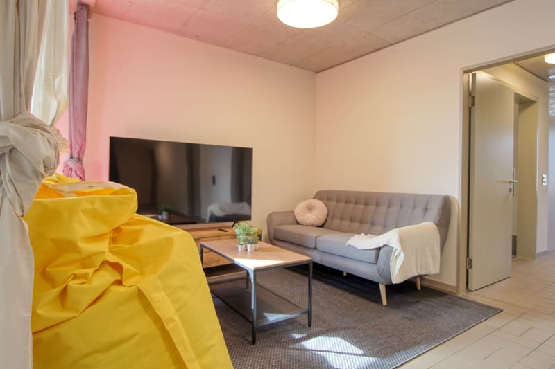 Modernes Coliving im lebhaften Schlieren (19)