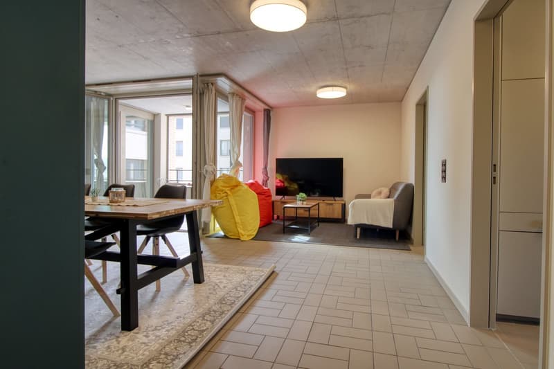 Modernes Coliving im lebhaften Schlieren (12)