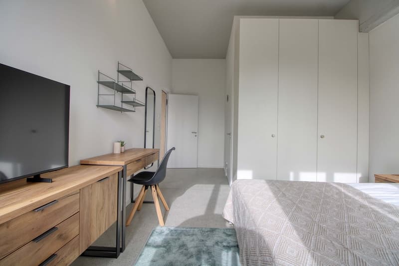 Coliving Moderne Alliant Intimité, Travail et Vie Partagée à Renens (3)
