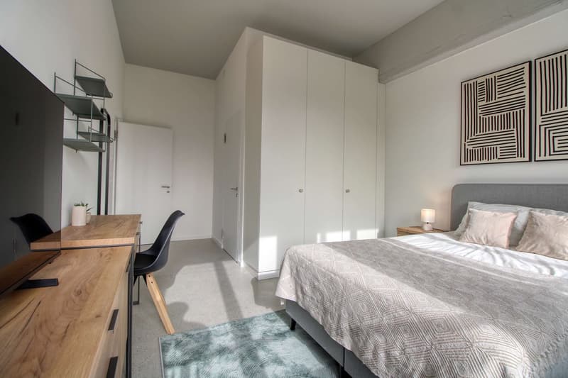 Coliving Moderne Alliant Intimité, Travail et Vie Partagée à Renens (8)