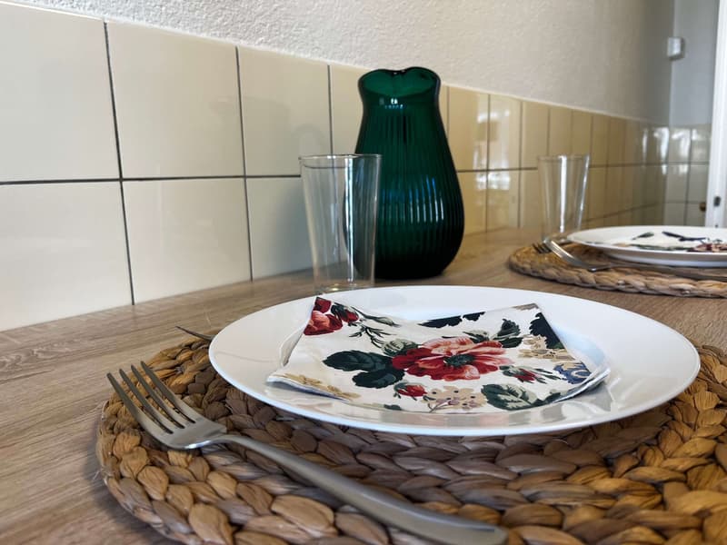 Entdecke komfortables Wohnen in Basel (24)