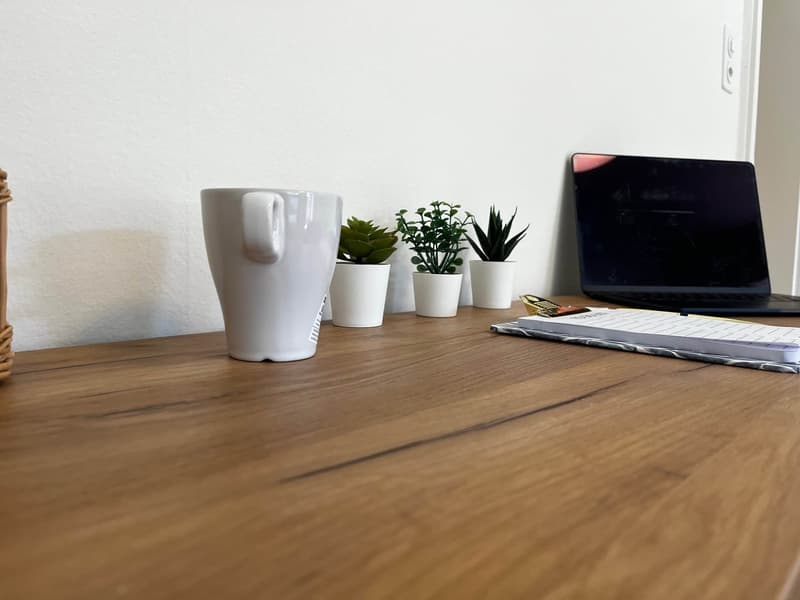 Entdecke komfortables Wohnen in Basel (7)