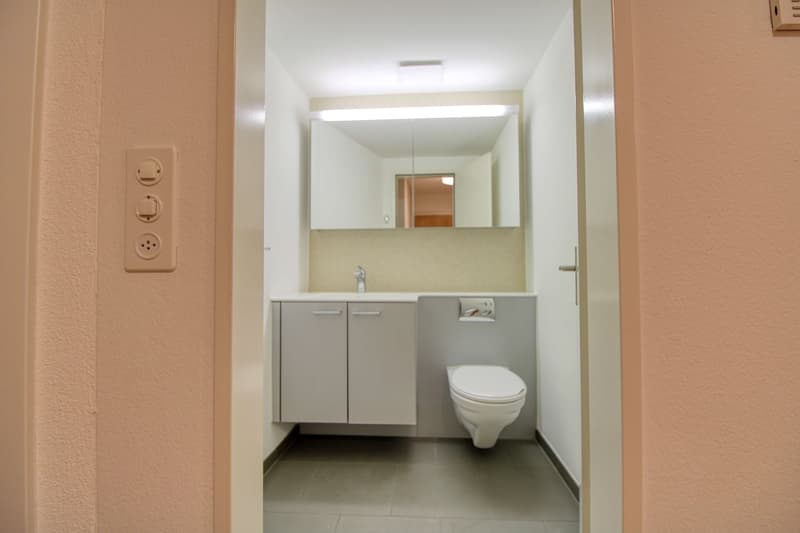 Schöne Zimmer an bester Lage nahe Sihlcity (12)