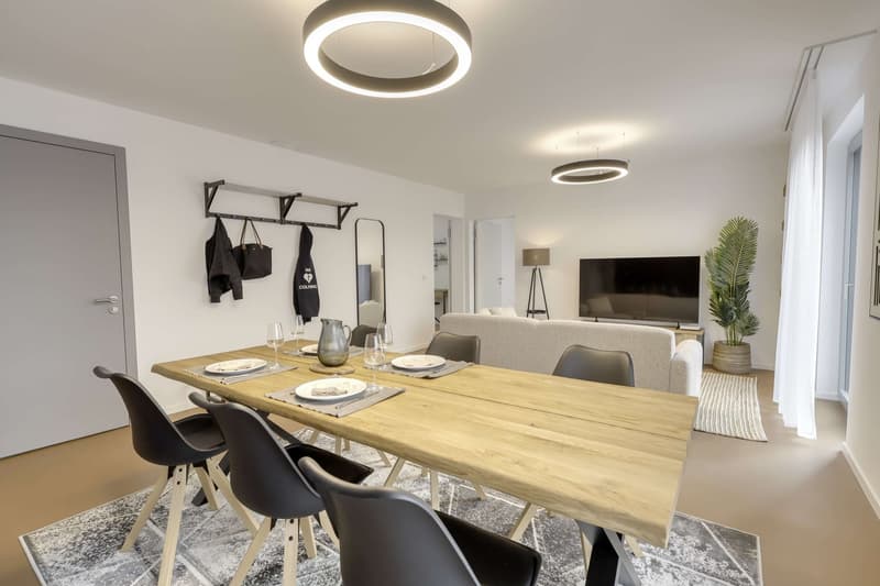 Coliving Alliant Intimité et Vie Partagée au Cœur de Renens (27)