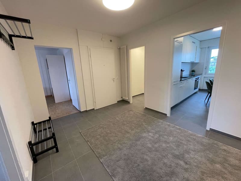 Vue dégagée au centre de Lausanne (17)