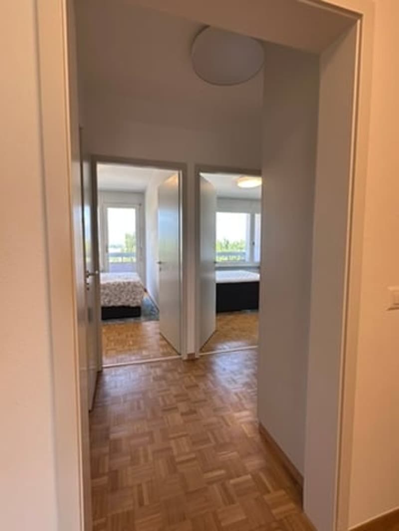 Coliving Convivial et Fonctionnel à Grand-Saconnex (15)
