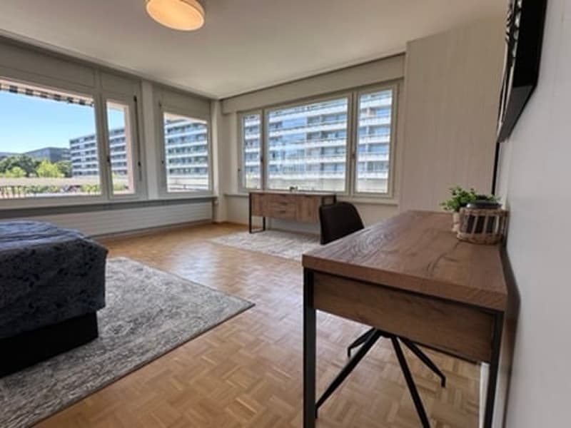 Coliving Convivial et Fonctionnel à Grand-Saconnex (8)