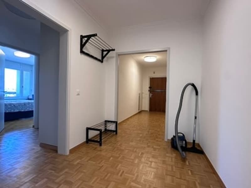 Coliving Convivial et Fonctionnel à Grand-Saconnex (19)
