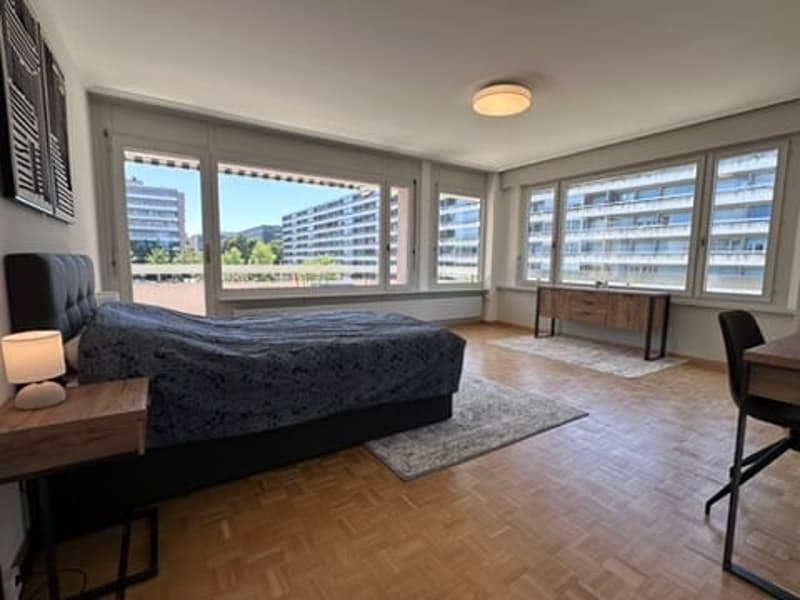 Coliving Convivial et Fonctionnel à Grand-Saconnex (6)