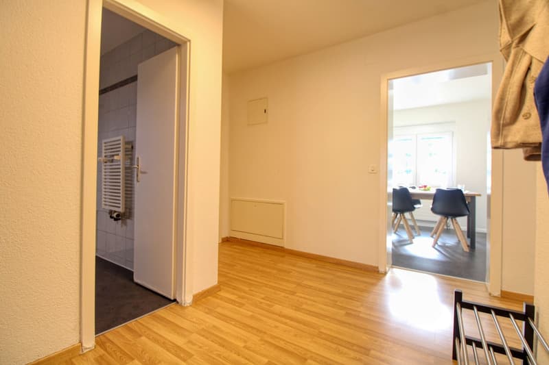 Gemütliches Coliving im lebendigen Altstetten in Zürich (14)