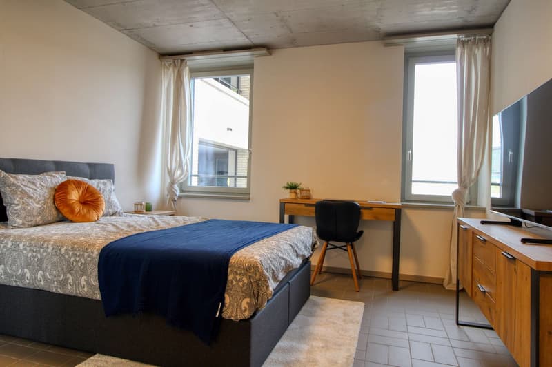 Modernes Coliving im lebhaften Schlieren (2)