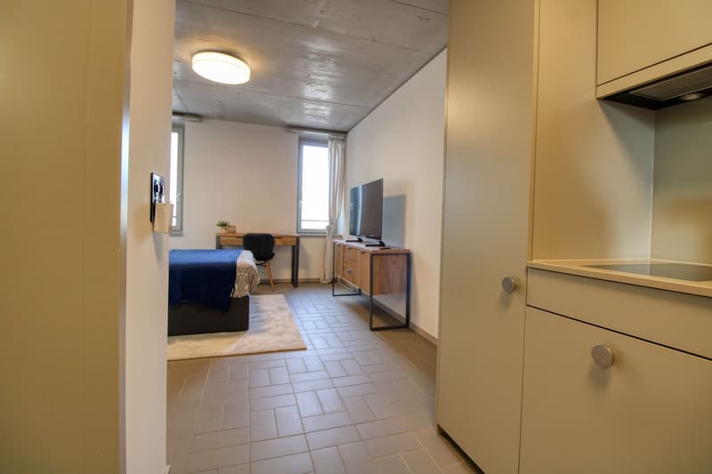 Modernes Coliving im lebhaften Schlieren (10)
