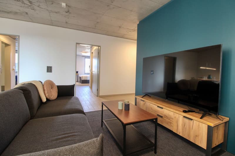 Modernes Coliving im lebhaften Schlieren (26)