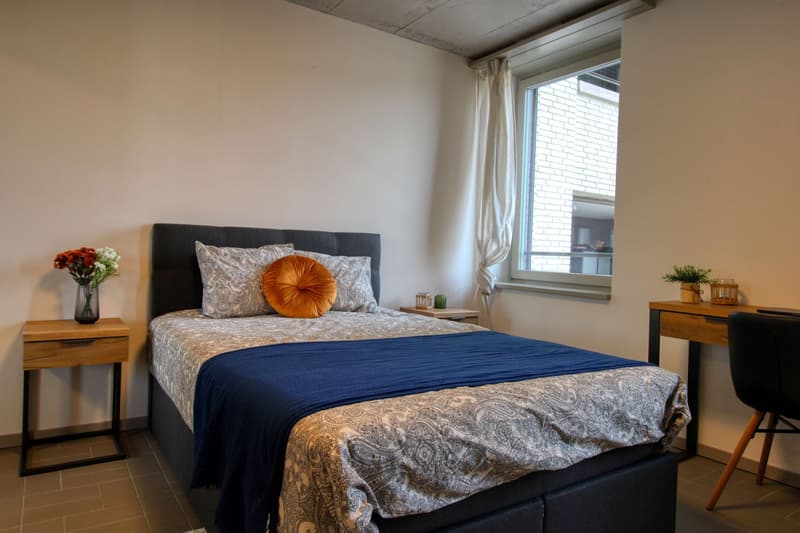 Modernes Coliving im lebhaften Schlieren (12)