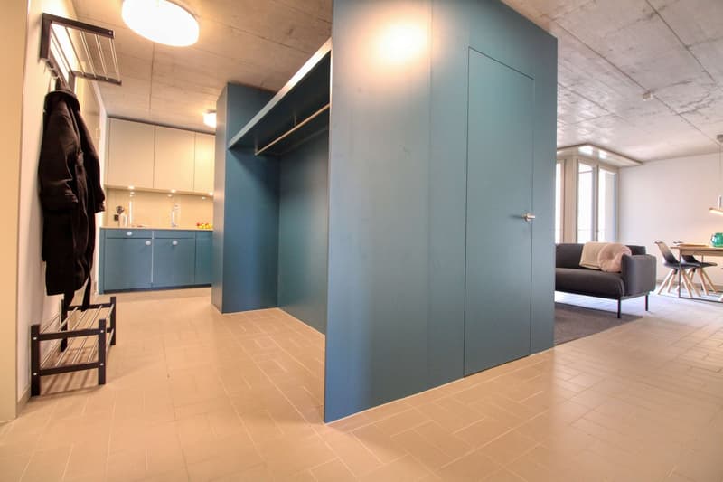 Modernes Coliving im lebhaften Schlieren (18)