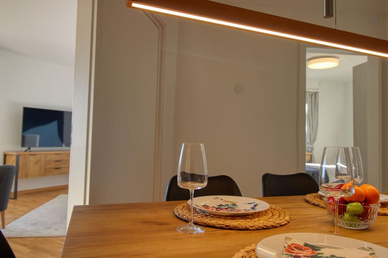 Penthouse en collocation au centre de Lausanne (25)